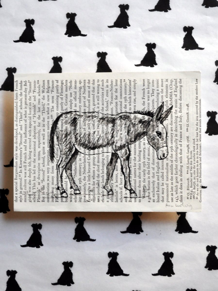 "Noah" by Ann Ludwig