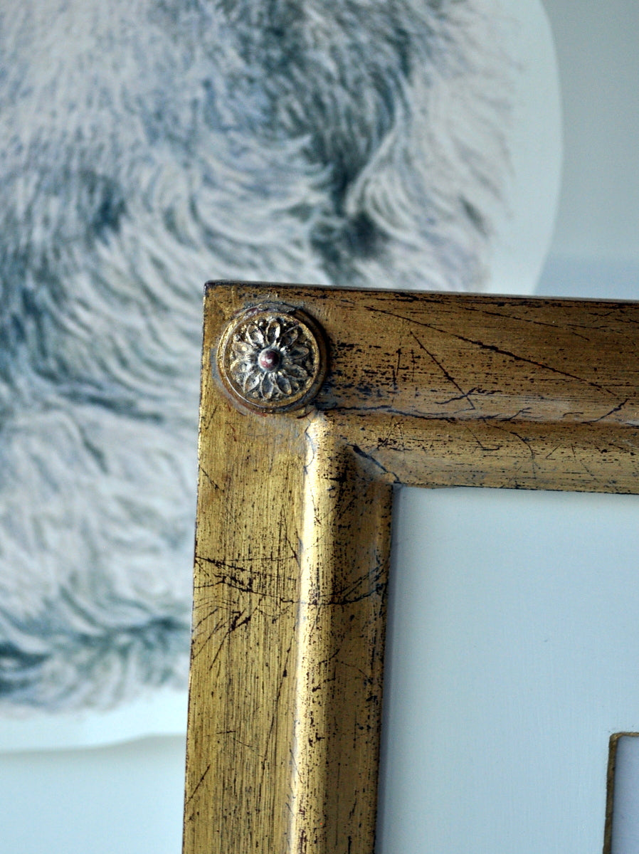 "Slippers" by Ann Ludwig