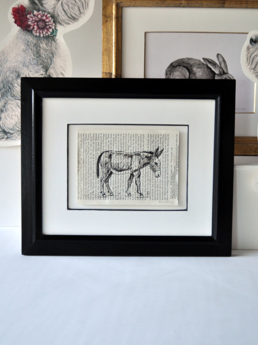 "Noah" by Ann Ludwig