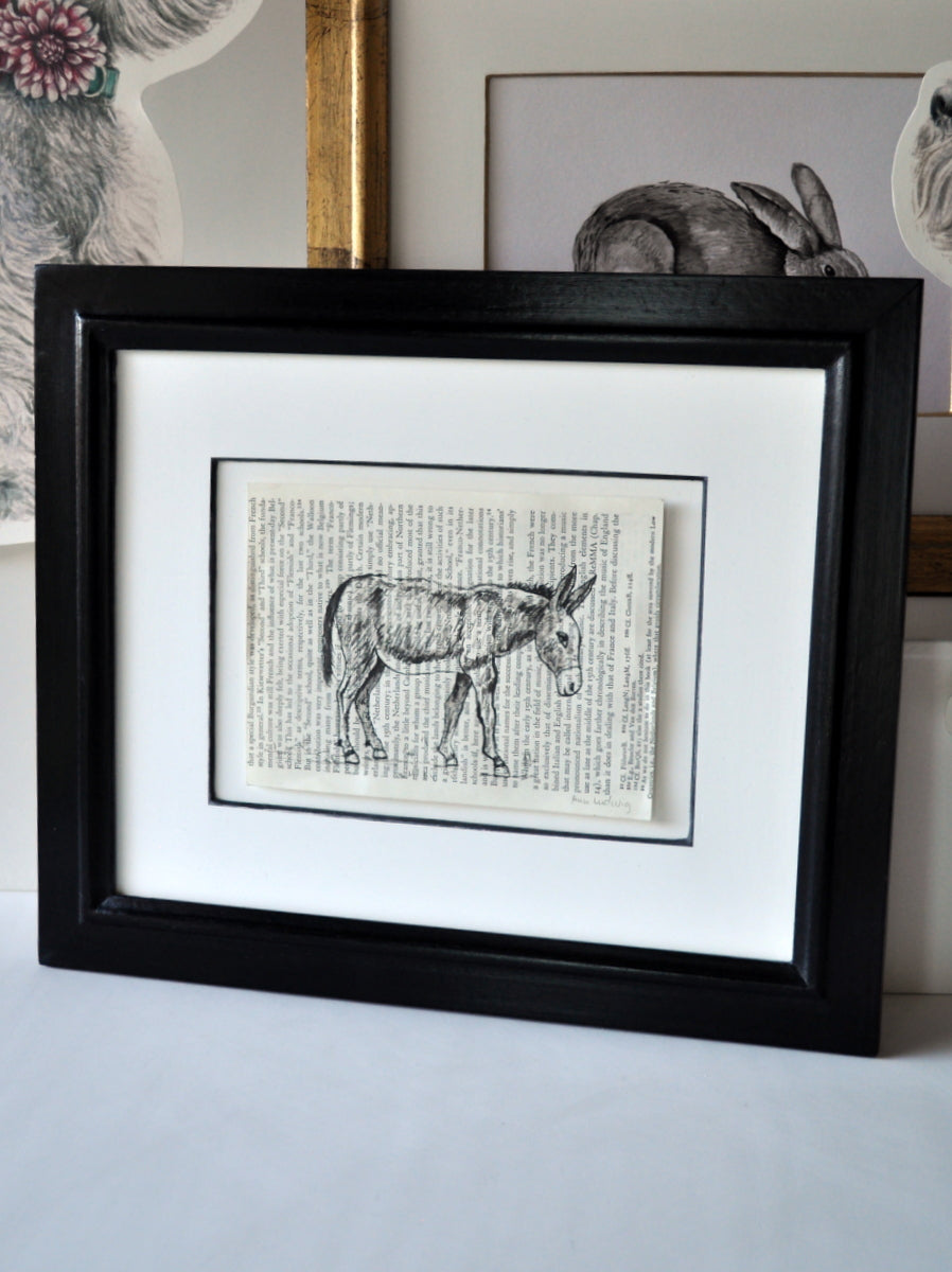 "Noah" by Ann Ludwig