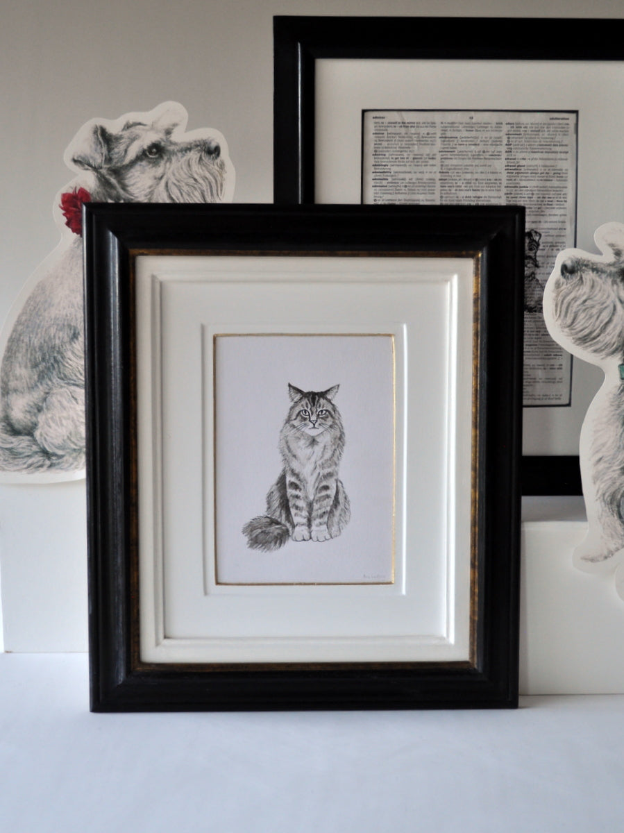 "Mr. DeMille" by Ann Ludwig