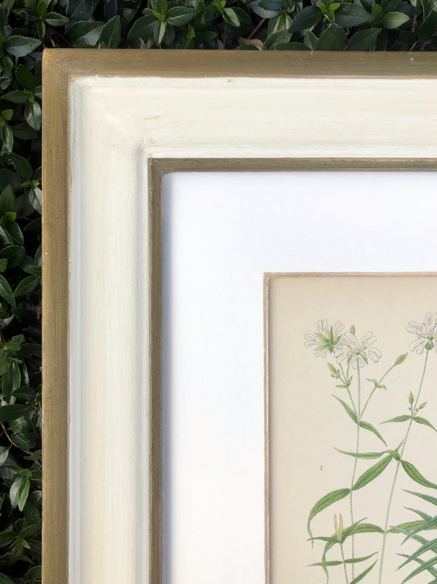 Green & White Botanical Study #6