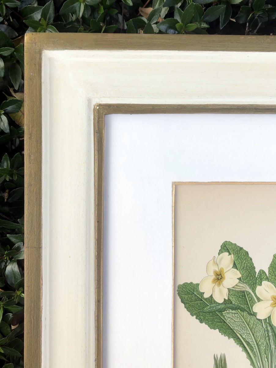 Green & White Botanical Study #3