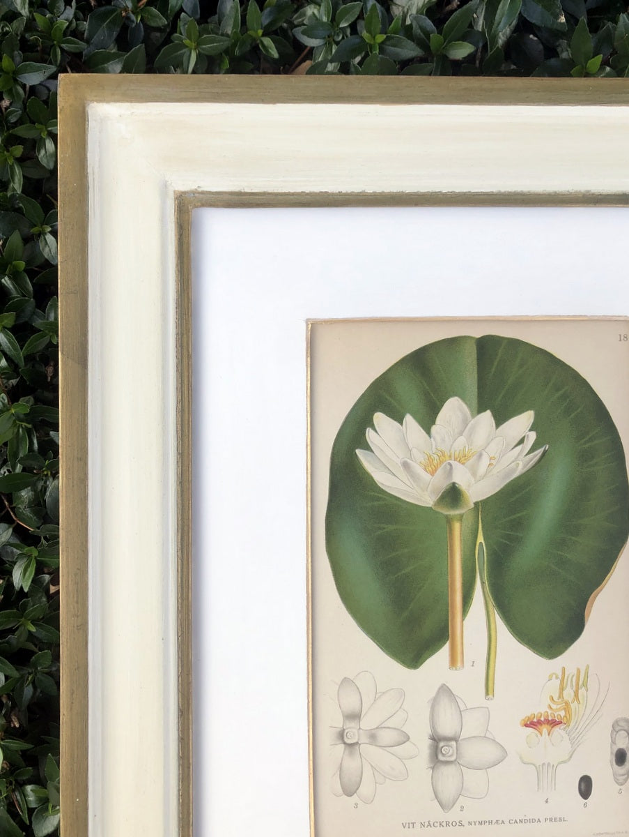 Green & White Botanical Study #5
