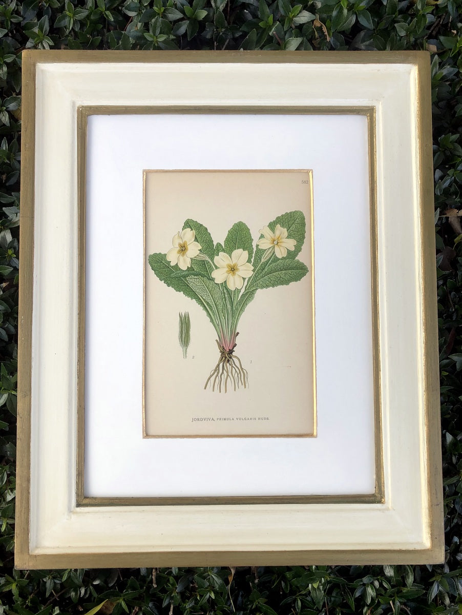 Green & White Botanical Study #3