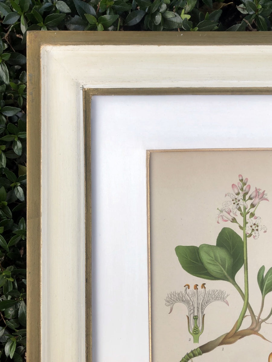 Green & White Botanical Study #1