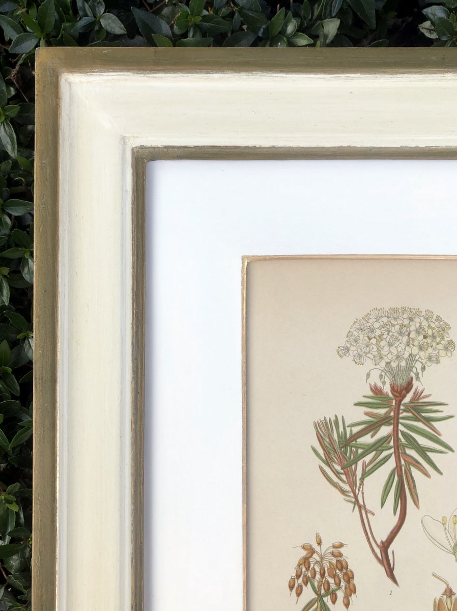 Green & White Botanical Study #4