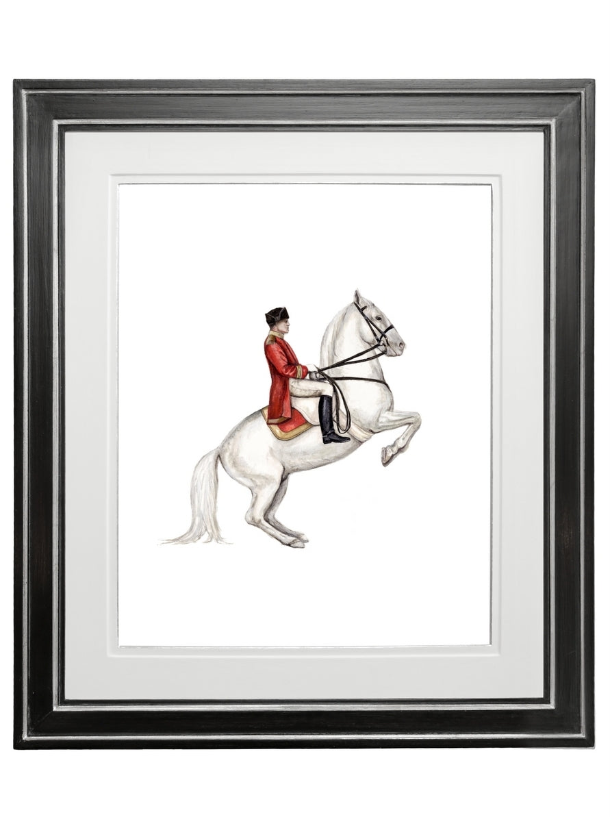 Cindy Lötter Lipizzaner #I - Frame Option 1